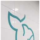 스윔스타즈 이미지