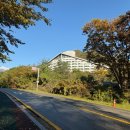 설악동 B 주차장 | 가족여행 #1 : 11월 첫째 주 " 설악산 " 방문, 주차, 셔틀버스 후기