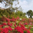 서해주방산업 이미지