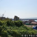 간절곶공인중개사사무소 이미지