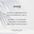 아쿠아클리닉 이미지