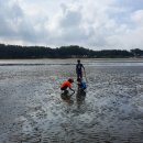 스포츠 아이 수영장 이미지