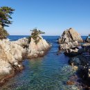 강릉스마일찰진꽈배기 이미지