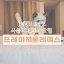디에스디엘(주) 프레이저플레이스 센트럴 호텔 | 서울의 중심 &#34;프레이저 플레이스 센트럴&#34; 애견동반 호텔 호캉스 후기