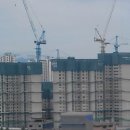 1514호 충청신문