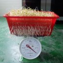 고양시도시생태농업연구회 이미지