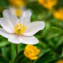 김영근 농장 이미지