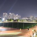 운정건강공원 축구장 이미지