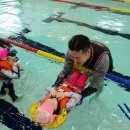 리틀아쿠아파크 이미지