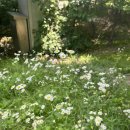 이진희 산부인과 | 나 감사 100