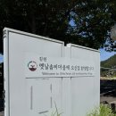 김천 옛날솜씨마을 아이와 가볼만한곳 머그컵/ 손수건염색/ 인절미체험