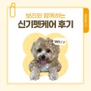 신기1 | 신기펫케어 서포터즈 한달차 후기!