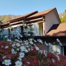 대둔산로 이미지