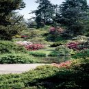 시장로30번길 이미지