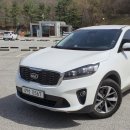 그린카마스타 이미지