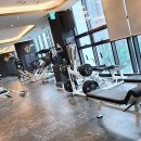 도미디 피트니스 동탄호수공원점 | 동탄헬스장 고민 중이라면 도미디 피트니스 동탄호수공원점 강추해요!