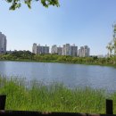상동호수공원 Daum카페