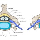 알파동물병원 이미지