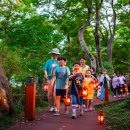 달빛소나타 이미지