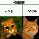 누의원 이미지