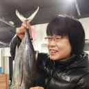 통참치 이미지
