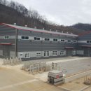 신기제 이미지