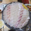 일품회집 | ​[쌍문역 맛집] 두툼한 회가 일품인 '네바다횟집' 후기