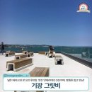 베스트덴트 이미지
