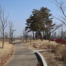 늘푸른공원 티스토리