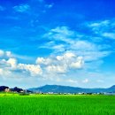 축복 이미지