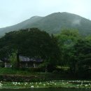 동백산방 이미지