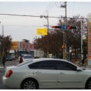 율리목장 이미지