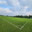 선동잔디구장 천연잔디구장 이미지