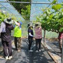 상촌면사무소 이미지