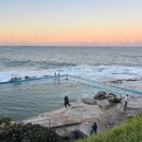 MAN OF ACTION(서판교점) | [Aged care] 환자 탈출 / Absconding / 환자가 사라졌다 / 나라이마님 강의를 듣고 ♡