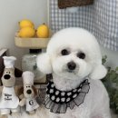 위드뚜뚜 이미지