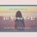 클래식나무 이미지