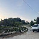 당근알바 23일차 농촌알바