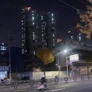 씨씨킴 이미지