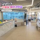이천동물복지센터 | 📍 이천 고양이 구내염 전발치, 이천동물의료센터 조계명 원장님 수술 솔직 후기