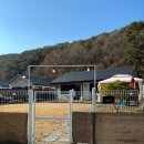 아요하우스 | 경남 진주 애견독채펜션 아요하우스 [내돈내산 후기]