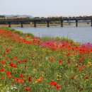 황룡강변2 이미지