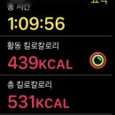 크로스핏 라텔 이미지