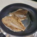 푸른바다약국 | 포항 낚시배대여) 초보 낚시꾼들의 바다낚시 체험기 🎣 루나호&amp;루어광에서 즐긴 하루
