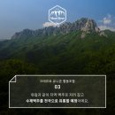 크래프트 유니온 협동조합 이미지