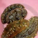 선주네 생선팜 이미지