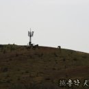 게스하우스 이미지