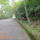 황장산등산로 입구 이미지