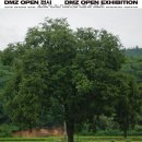 DMZ 오픈 페스티벌(DMZ전시) 이미지