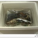 완도화목식품 이미지